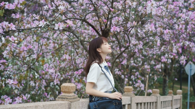 桃花树下制服美女清新脱俗图片