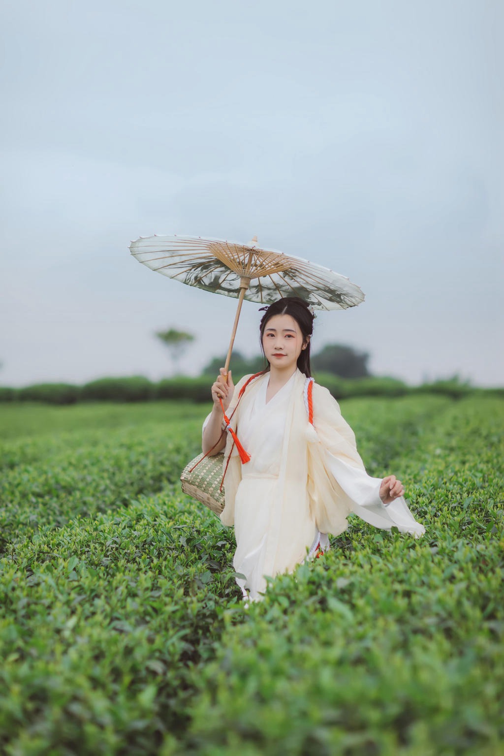 茶园中的白衣美女清新脱俗写真