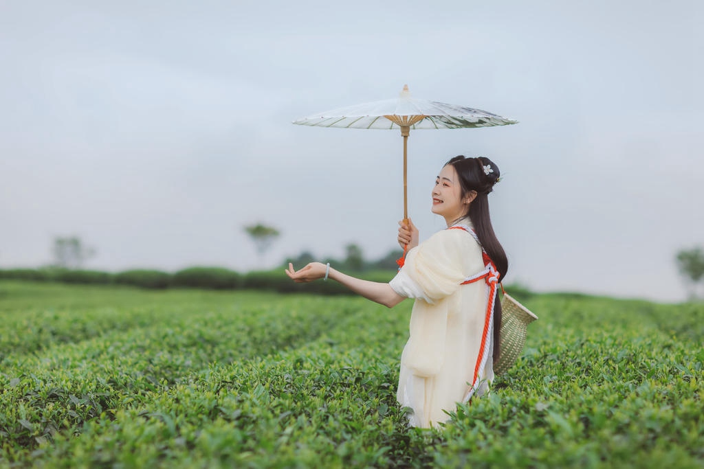 茶园中的白衣美女清新脱俗写真