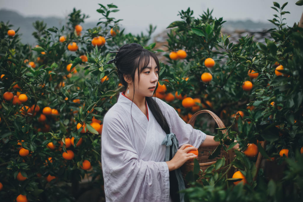 果园里的古装美女清新脱俗图片
