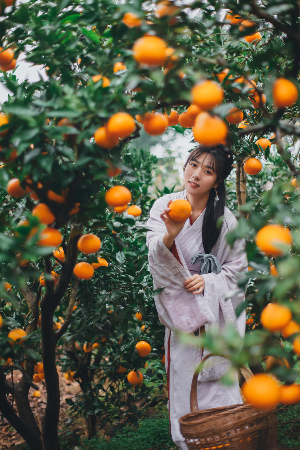 果园里的古装美女清新脱俗图片