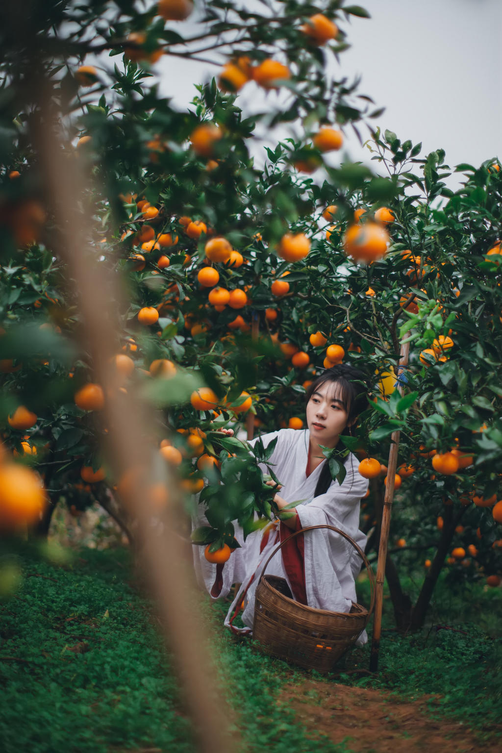 果园里的古装美女清新脱俗图片