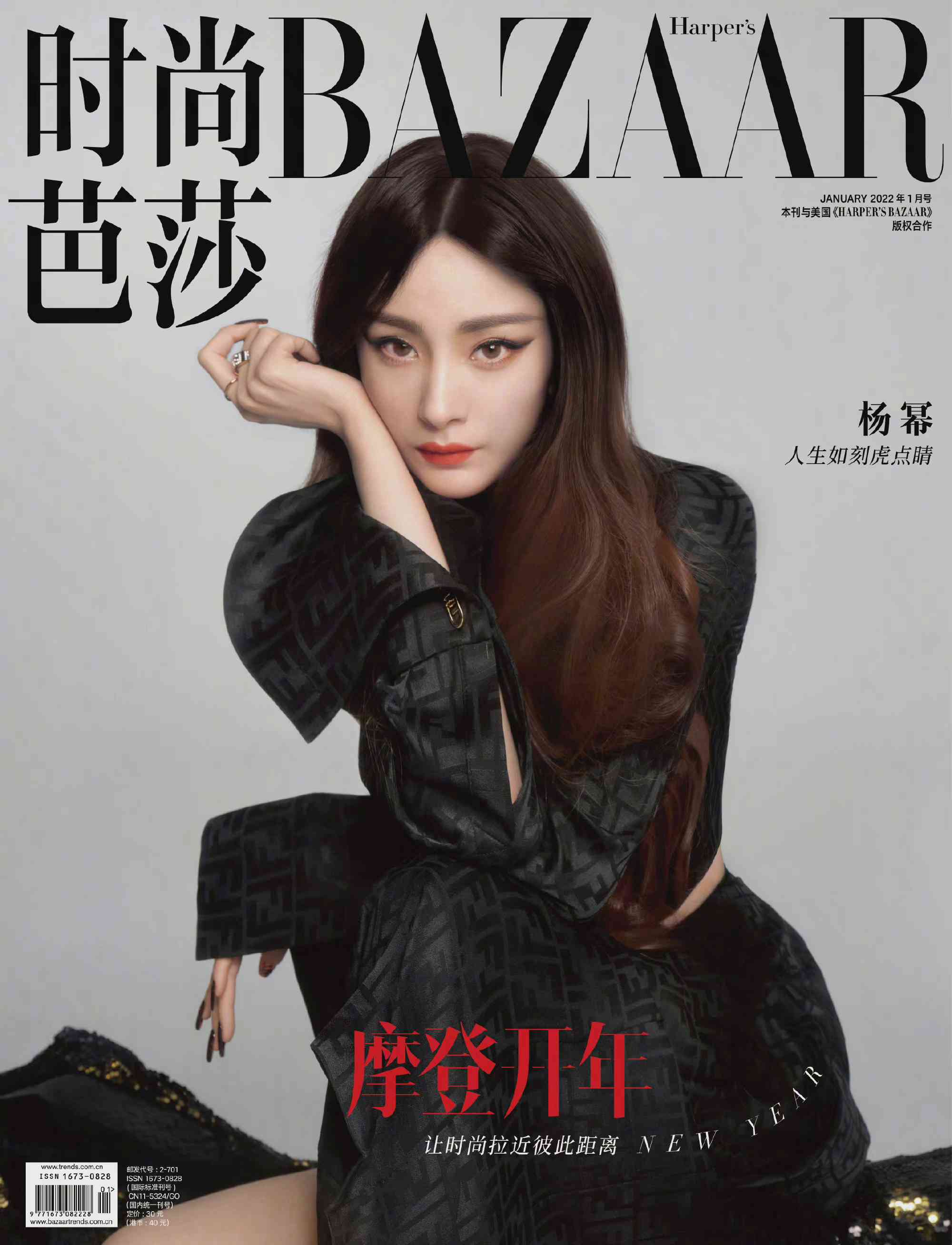 杨幂虎纹造型又美又飒时尚写真