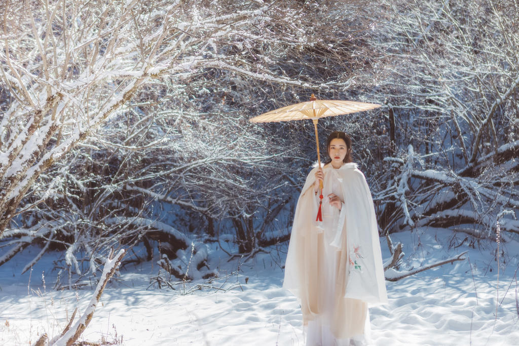 雪地里的汉服美女清新脱俗图片