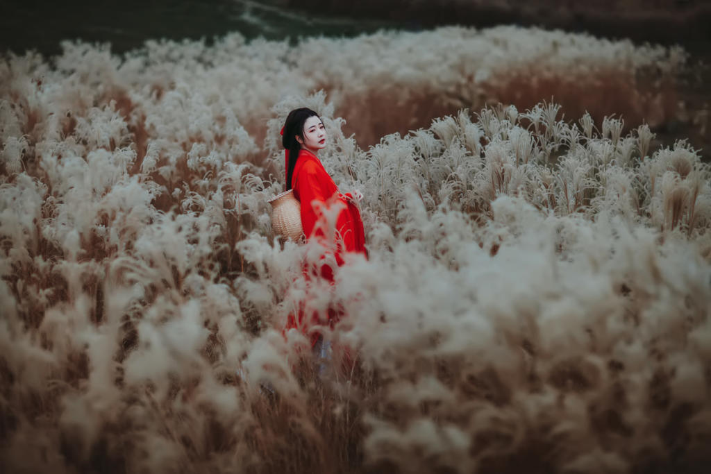 芦苇中的红衣美女美艳动人图片