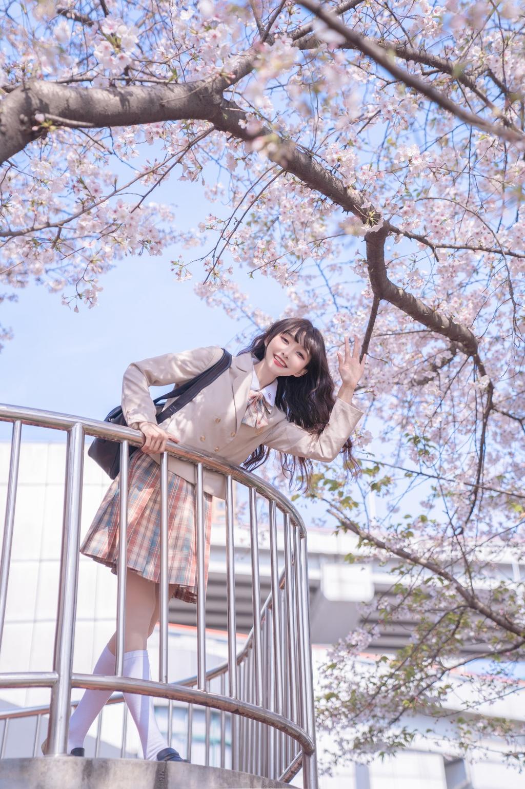 樱花树下制服美女白丝美腿图片