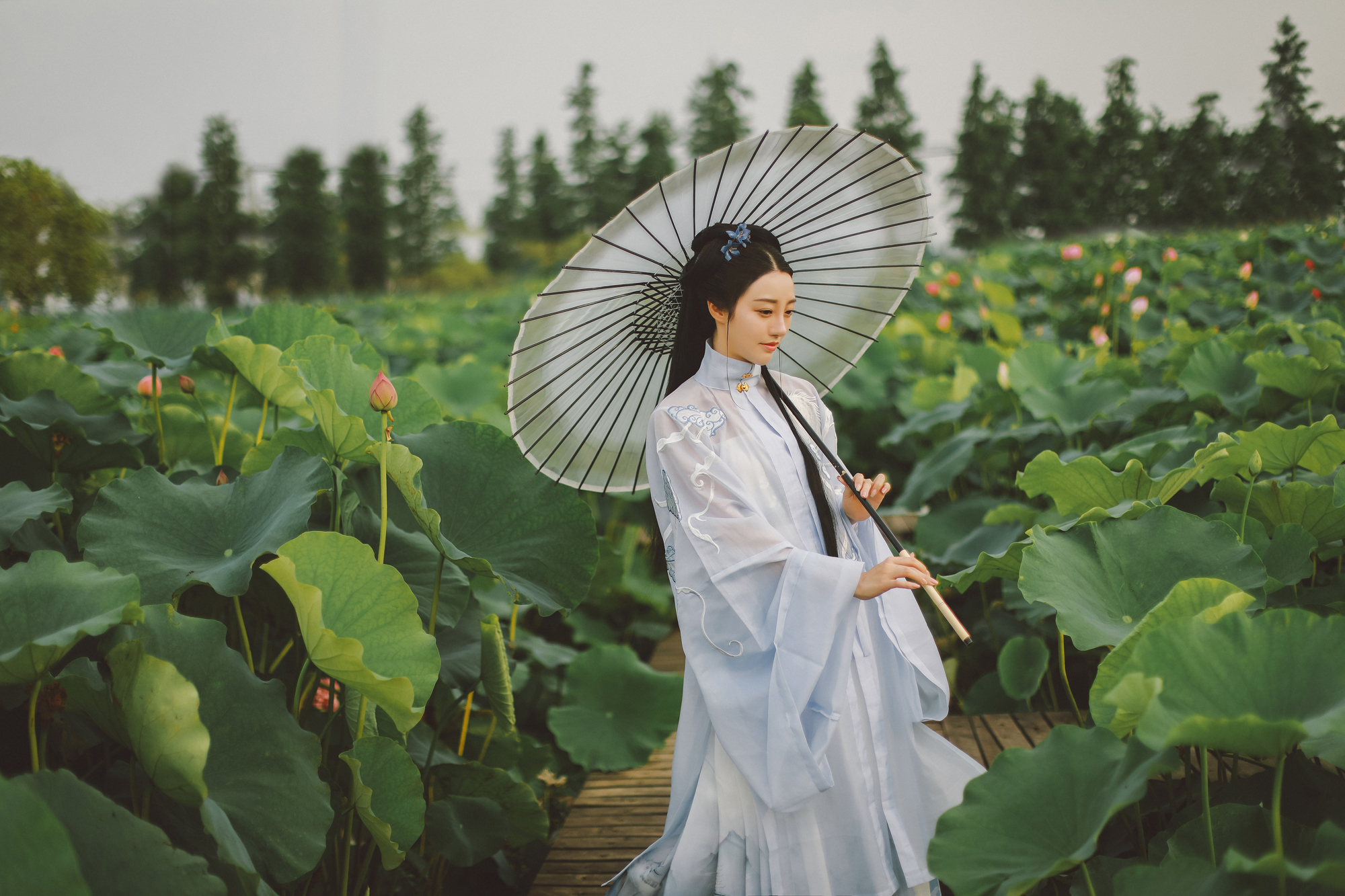 夏日荷塘美女淡色古装摄影图