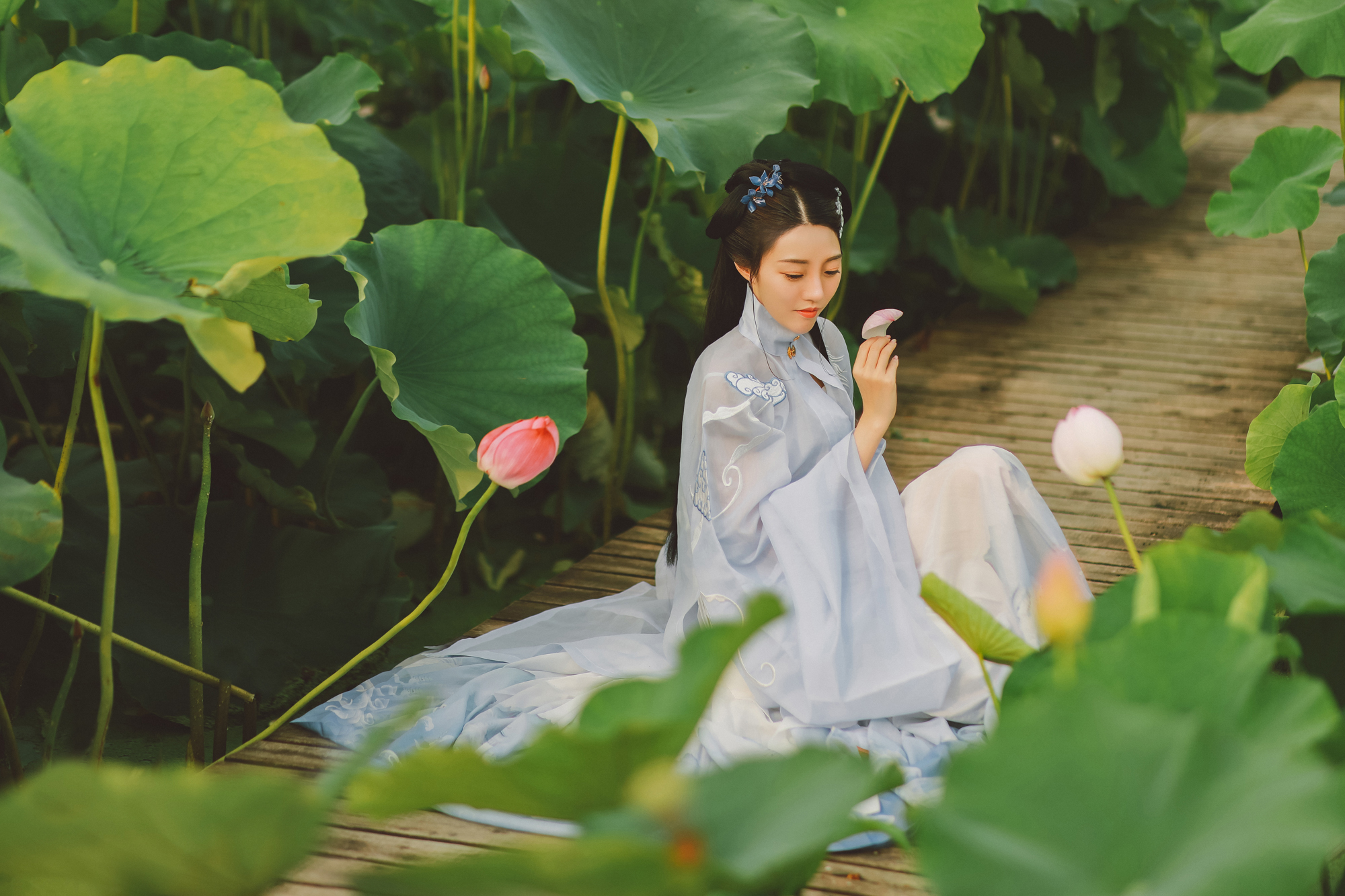 夏日荷塘美女淡色古装摄影图