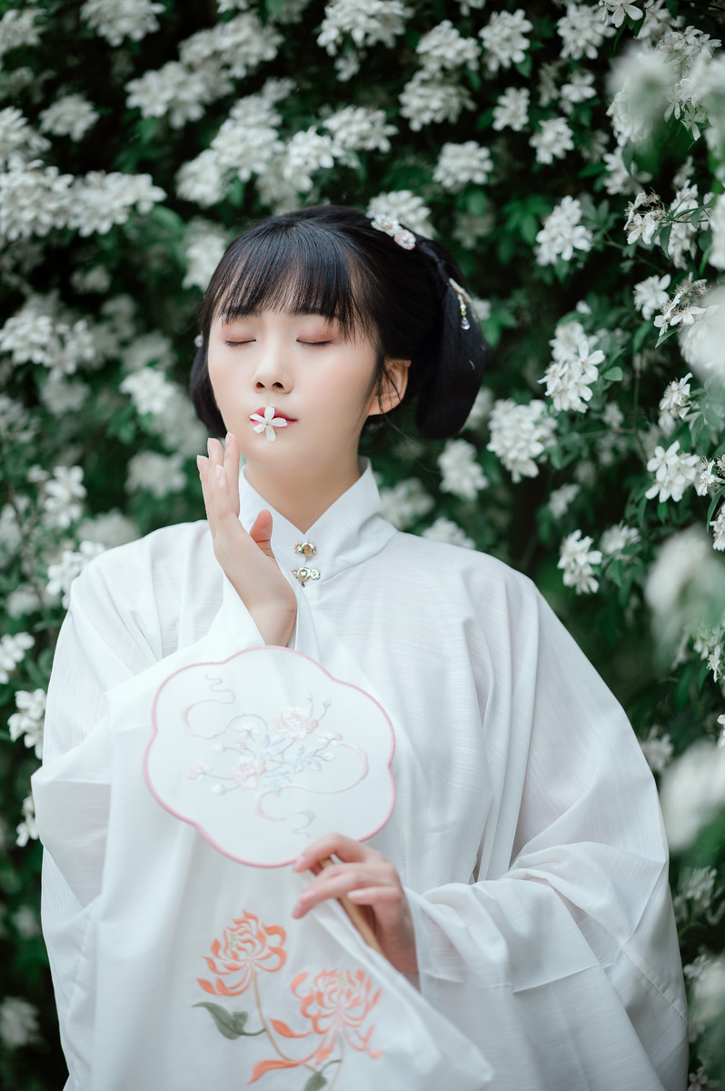气质淡雅端庄的大家闺秀端庄大气唯美古风摄影图片