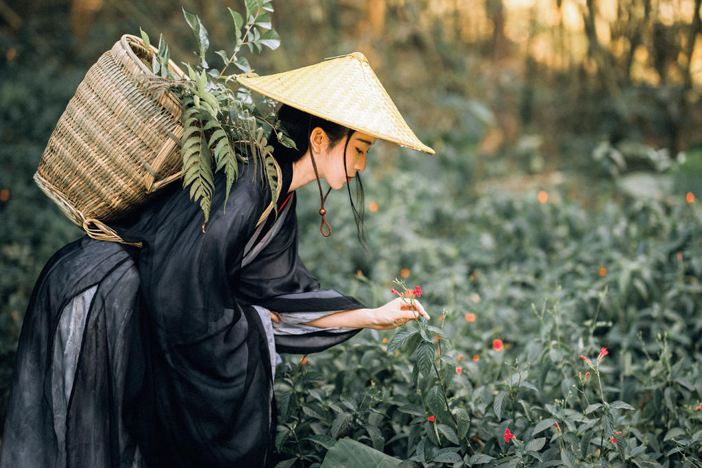 英姿飒爽的禁欲系女道士竹林里冷淡清幽古装摄影图集