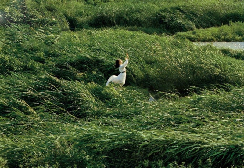 文淇置身田野好似夏日精灵写真