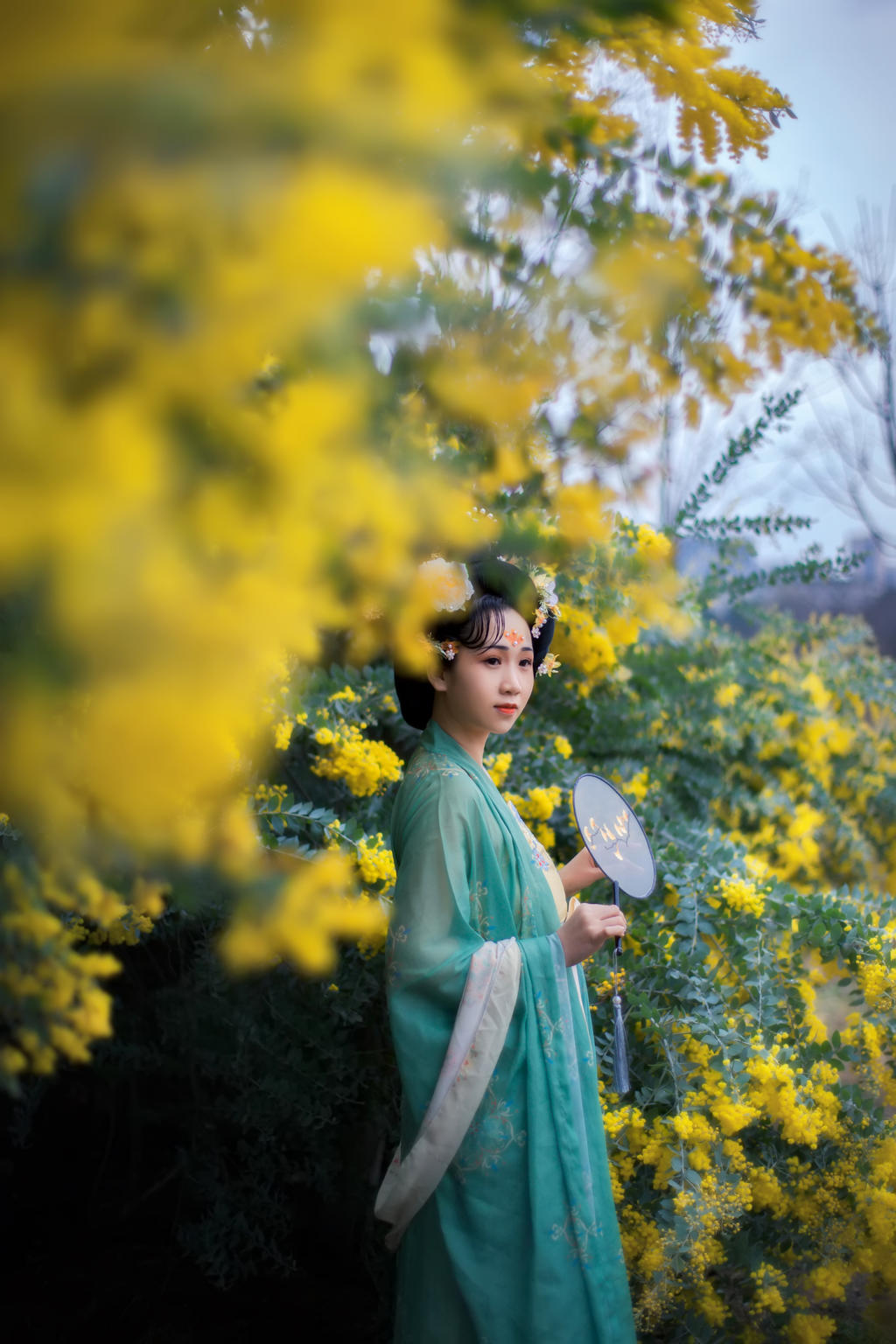合欢花下汉服美女唯美古风摄影