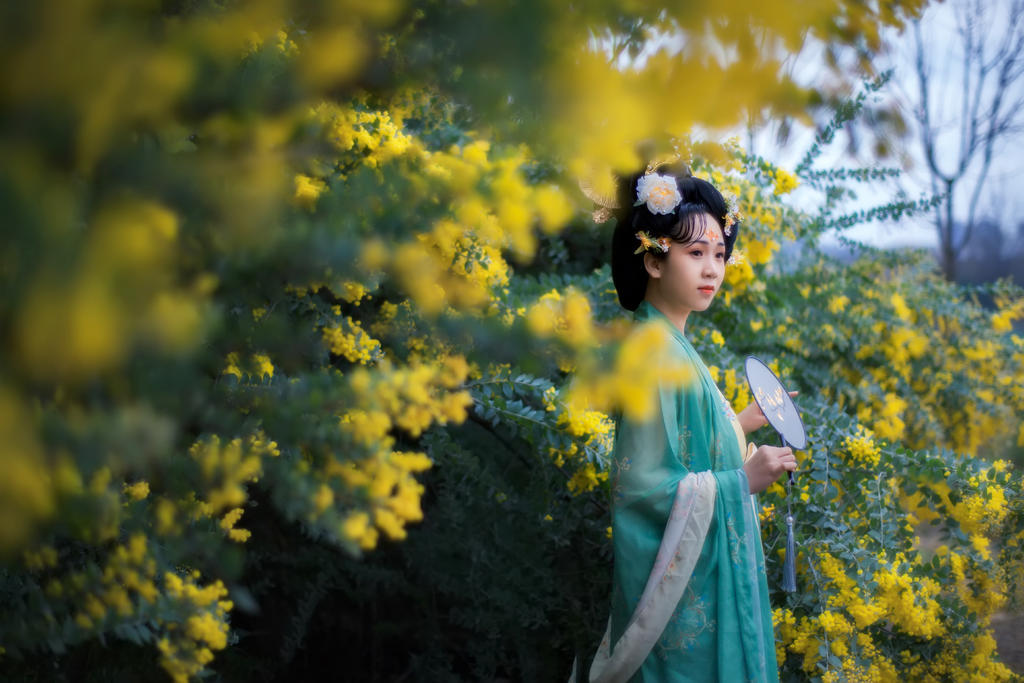 合欢花下汉服美女唯美古风摄影